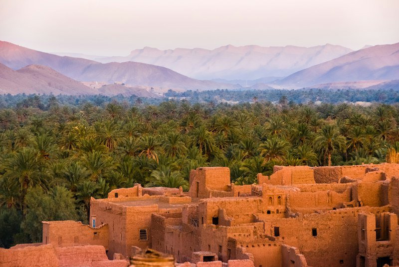 Kasbah and palms in Morocco